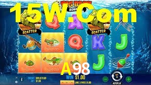 Premium Interface A98